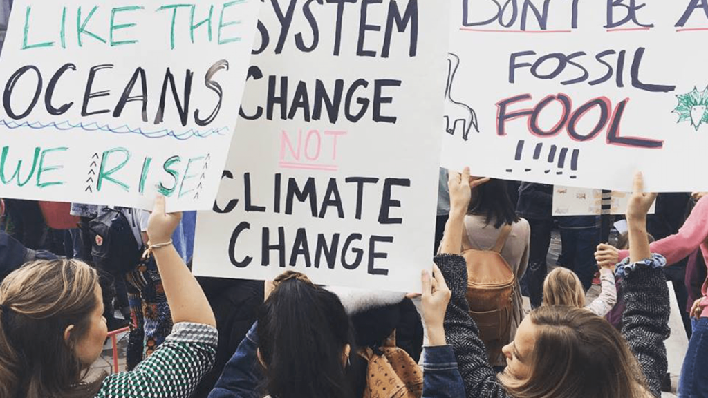 Climate Strike Signs