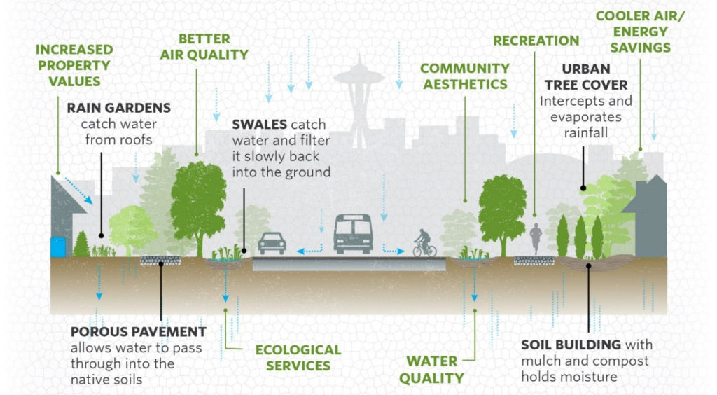 Green Infrastructure Infographic